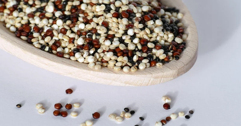 Choisir et cuire le quinoa sans le rater