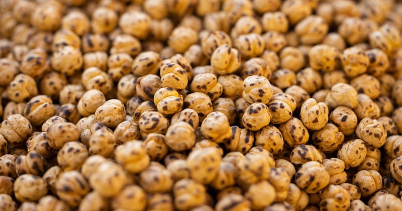 Burger végétarien aux pois chiches et épices : la recette qui bluffe